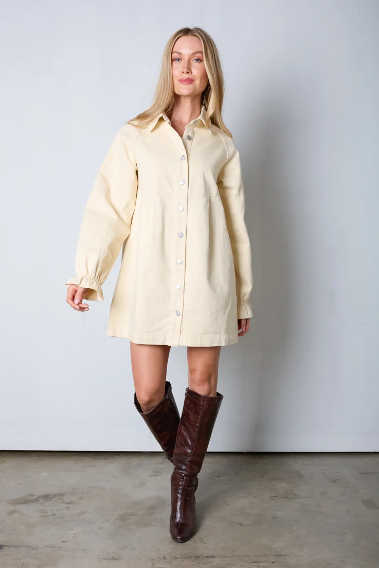 Cream and Sugar Denim Dress