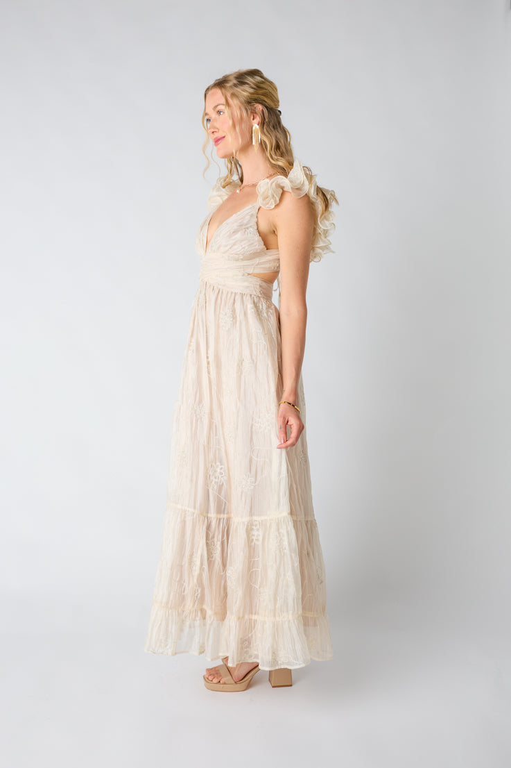 Sipping Champagne Maxi Dress - Image 4